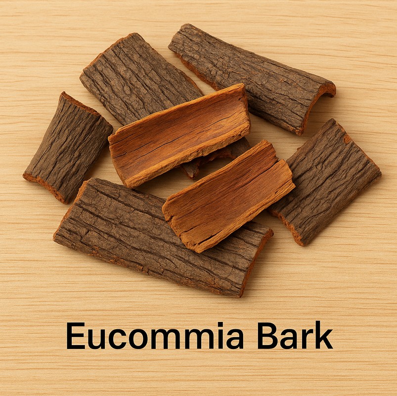 Eucommia Bark and its role in arthritis relief - Authentic Arthritis Asian Herbs